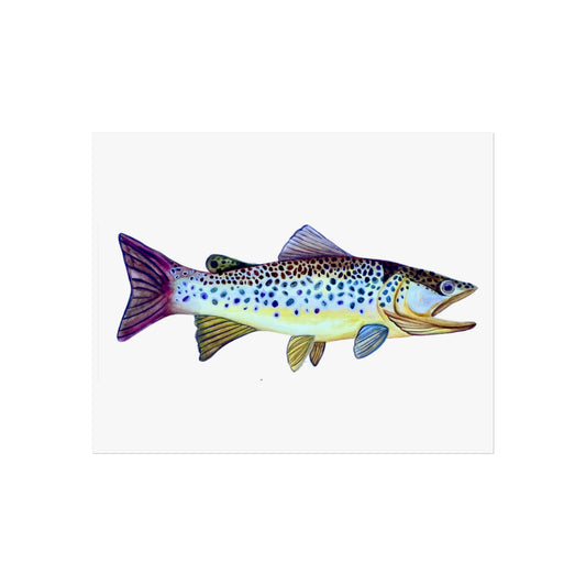 Trout Giclée Art Print — Watercolor Fish Wall Art for Anglers & Coastal Decor