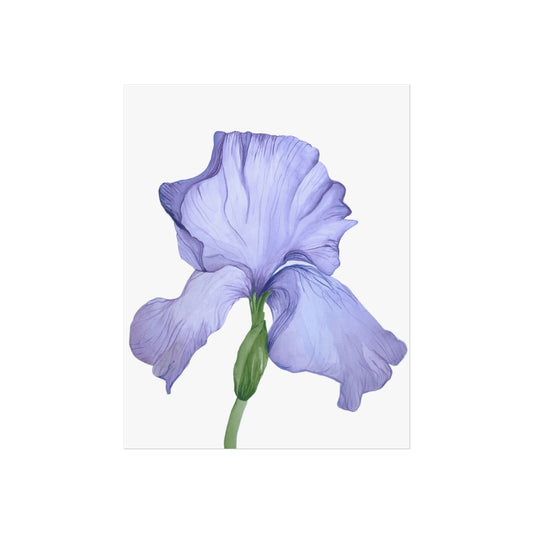Lavender Iris Giclée Art Print — Botanical Flower Wall Art
