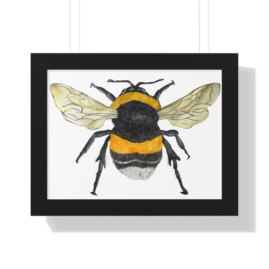 Bumblebee Wall Art — Framed Horizontal (Botanical Insect Print)