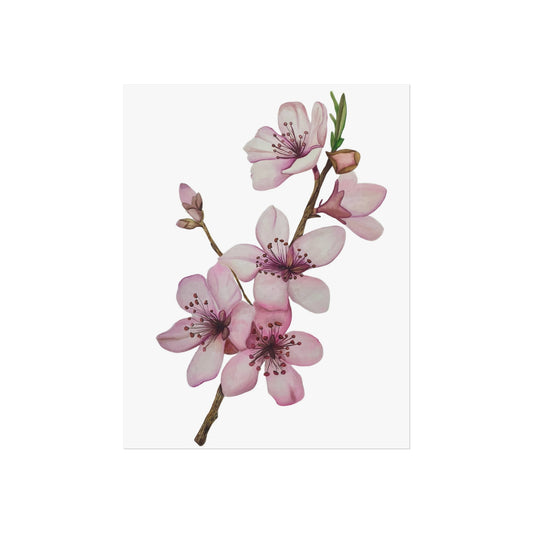 Cherry Blossom Giclée Art Print — Pink Floral Wall Art
