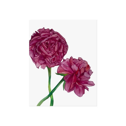 Peony Watercolor Giclée Art Print — Botanical Wall Art, Pink Floral Illustration