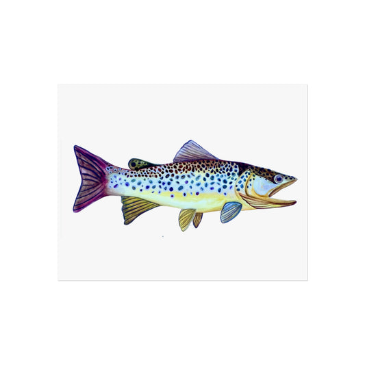 Trout Giclée Art Print — Watercolor Fish Wall Art for Anglers & Coastal Decor