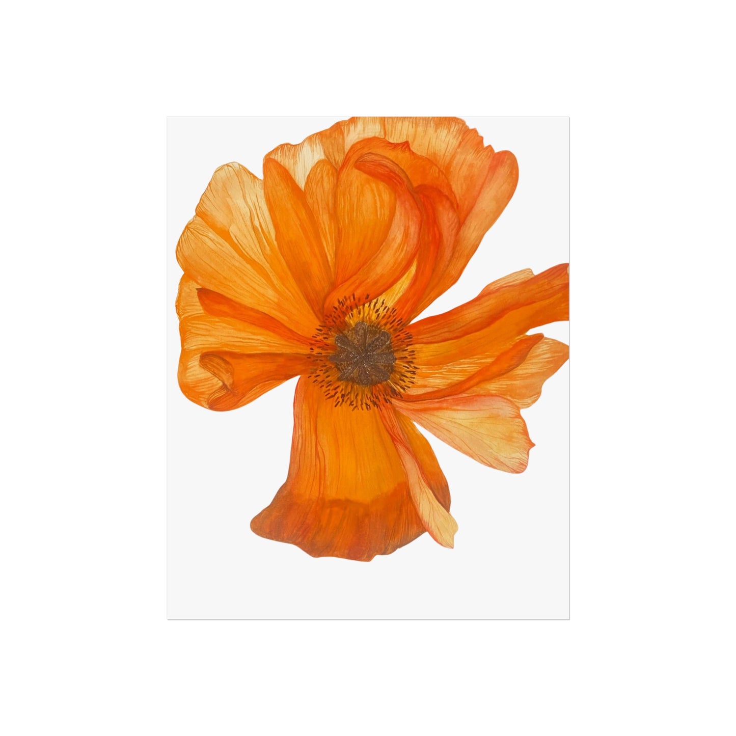 Giclée Art Print — Orange Poppy Floral Wall Art
