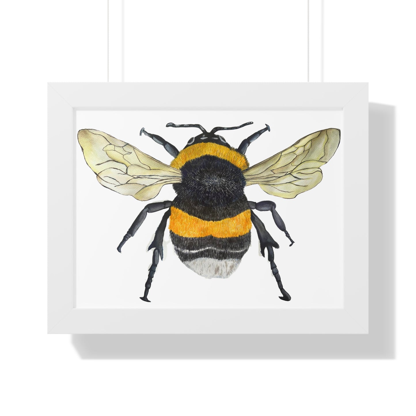Bumblebee Wall Art — Framed Horizontal (Botanical Insect Print)