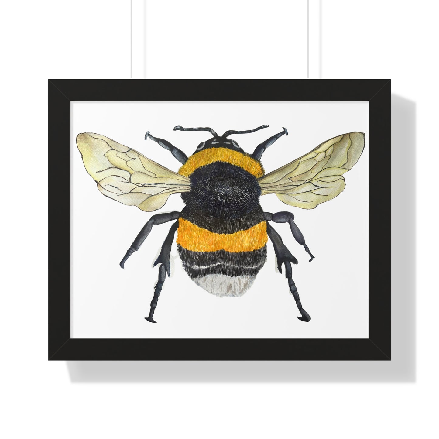 Bumblebee Wall Art — Framed Horizontal (Botanical Insect Print)