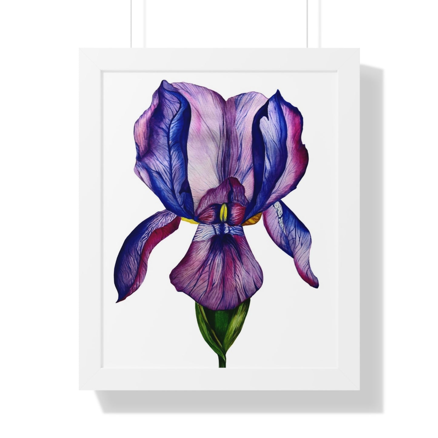 Framed — Purple Iris Botanical Art Print