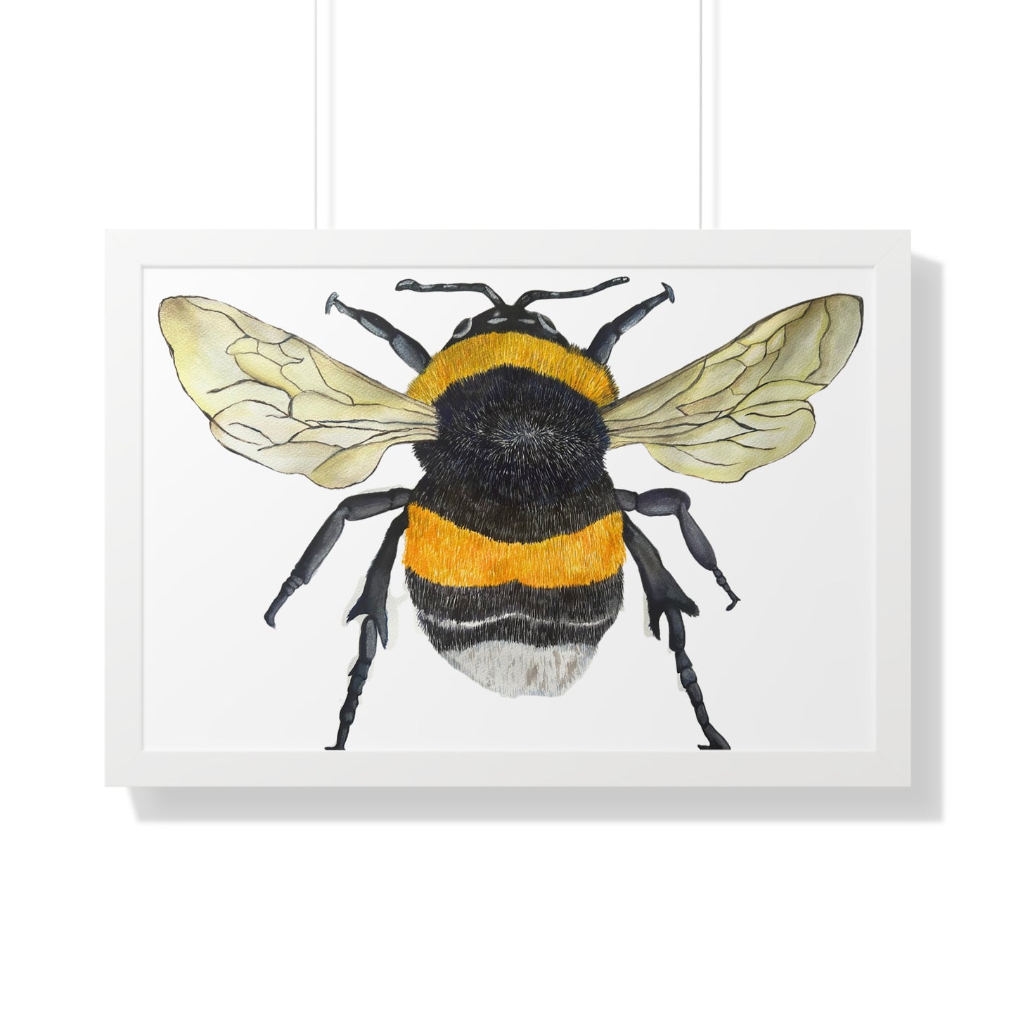 Bumblebee Wall Art — Framed Horizontal (Botanical Insect Print)
