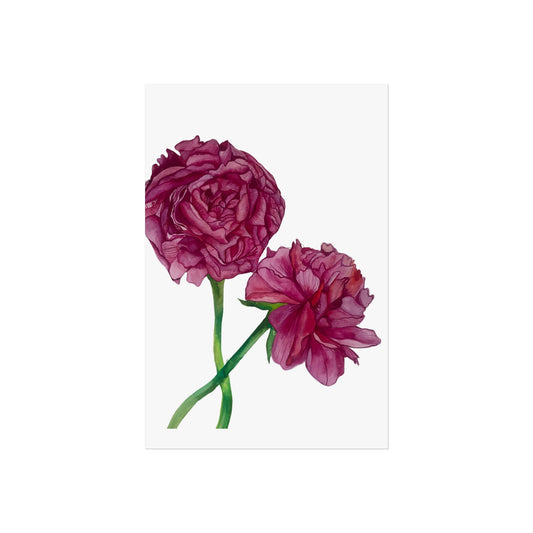 Peony Watercolor Giclée Art Print — Botanical Wall Art, Pink Floral Illustration