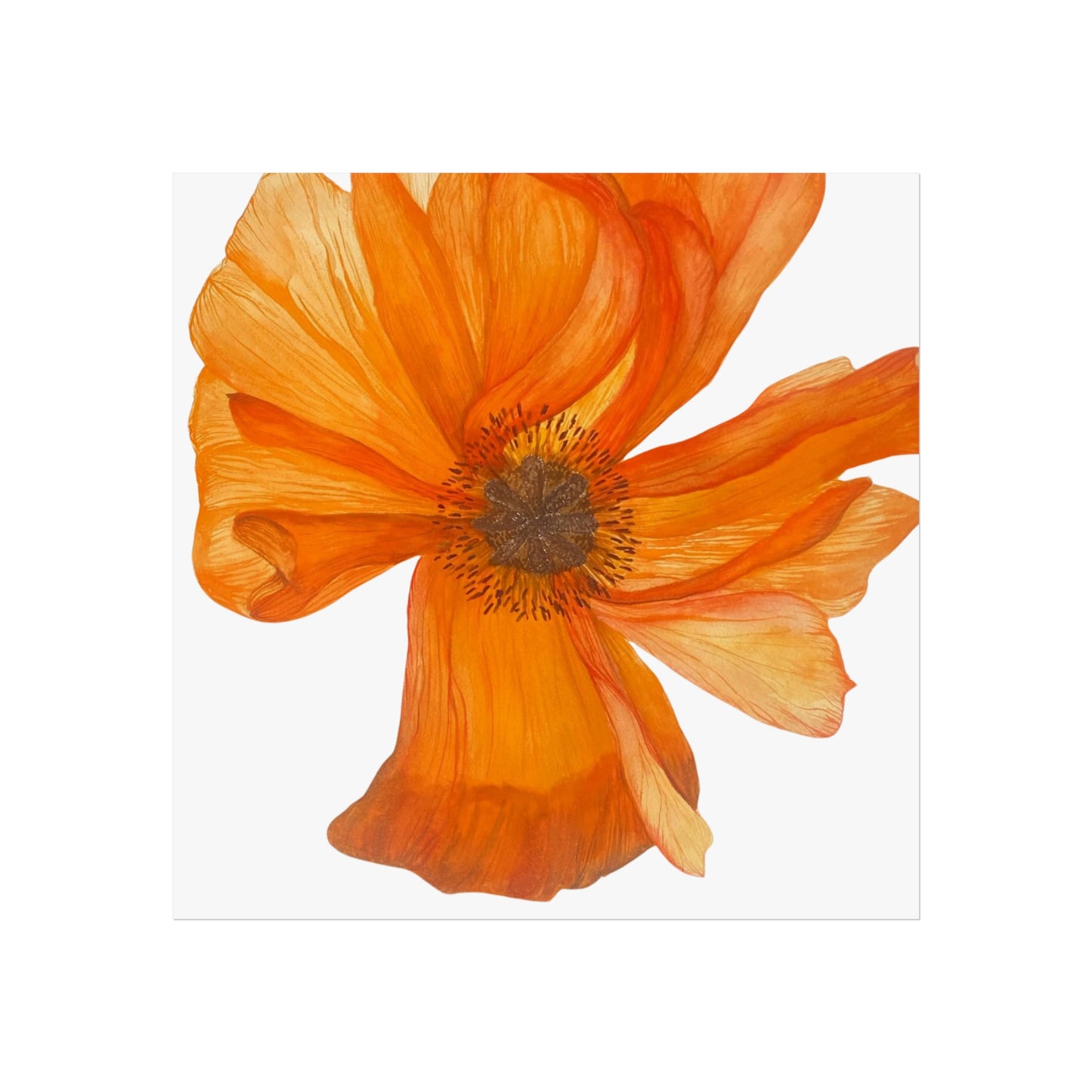 Giclée Art Print — Orange Poppy Floral Wall Art
