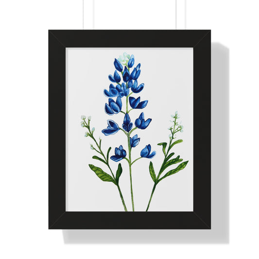 Framed Print — Bluebonnet Texas Watercolor Botanical Print