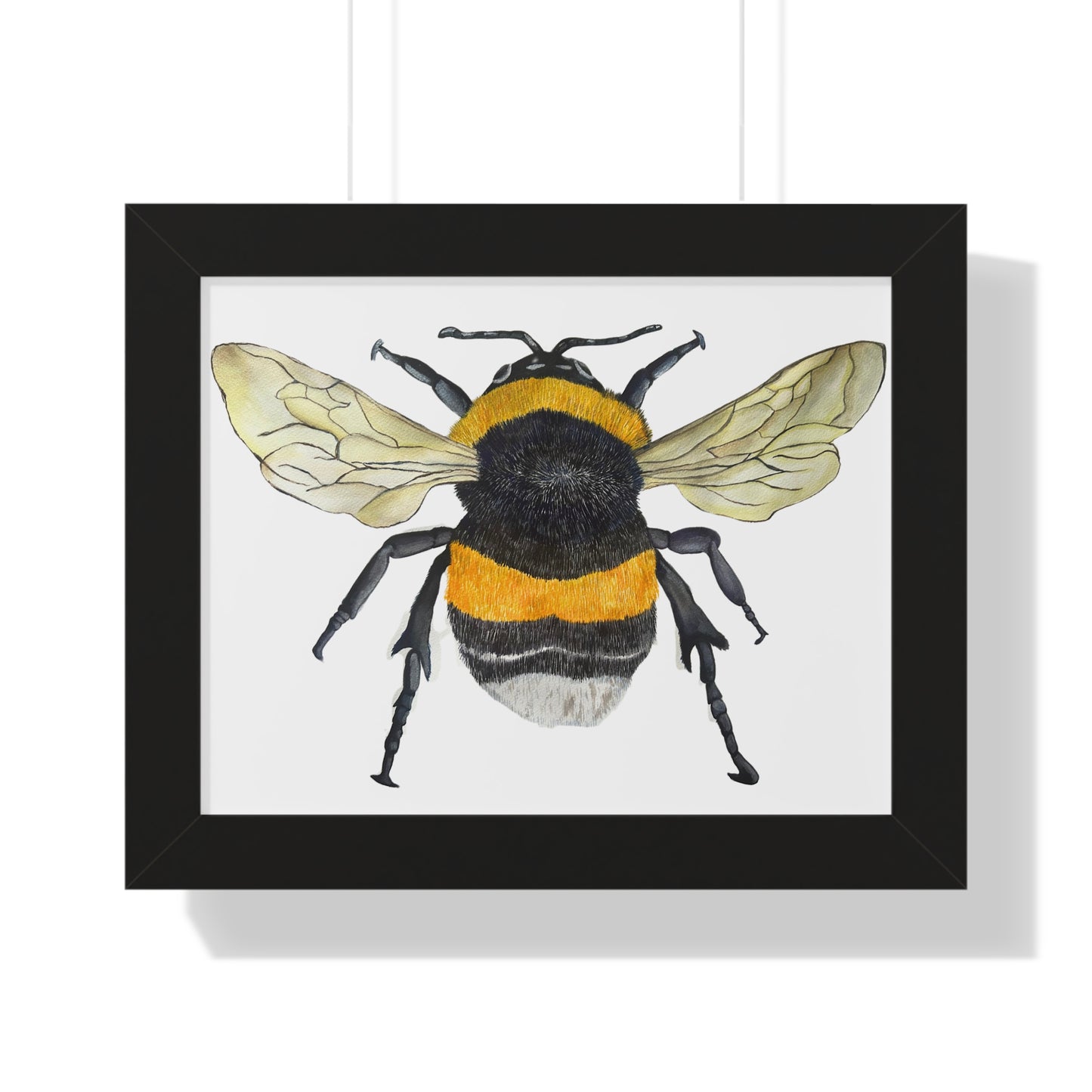 Bumblebee Wall Art — Framed Horizontal (Botanical Insect Print)