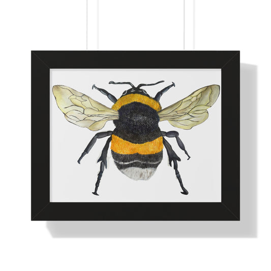 Bumblebee Wall Art — Framed Horizontal (Botanical Insect Print)