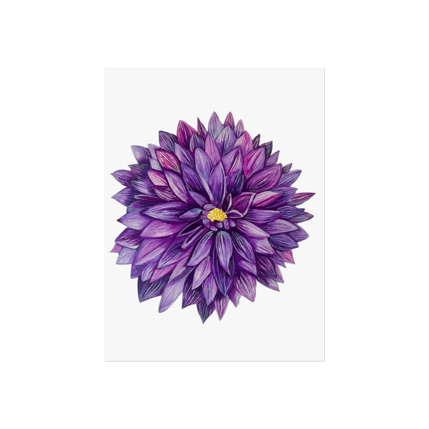 Purple Dahlia Giclée Art Print — Botanical Floral Wall Art