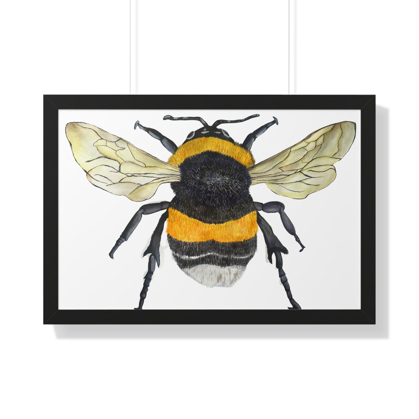 Bumblebee Wall Art — Framed Horizontal (Botanical Insect Print)