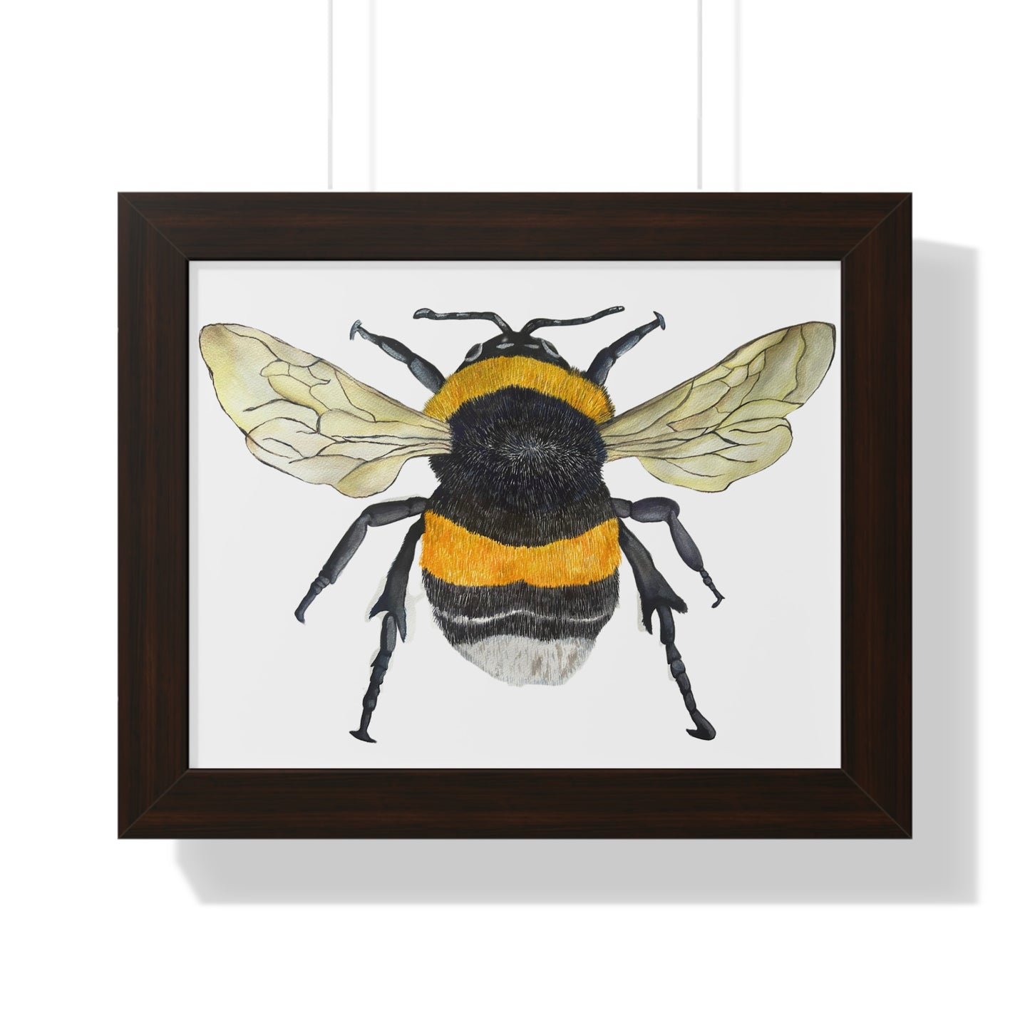 Bumblebee Wall Art — Framed Horizontal (Botanical Insect Print)
