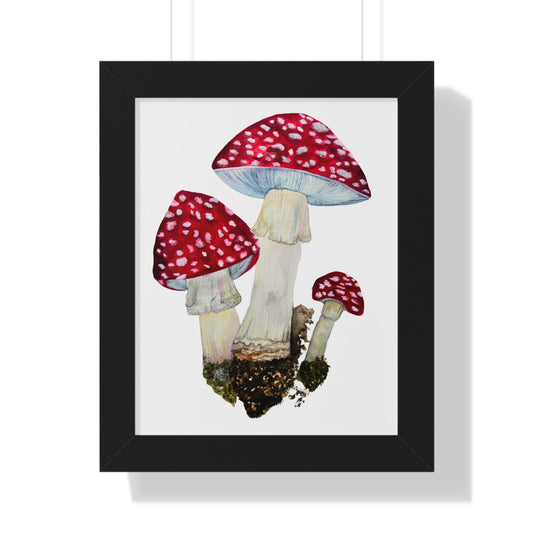 Framed Mushroom — Red Amanita Toadstool Fine Art Print