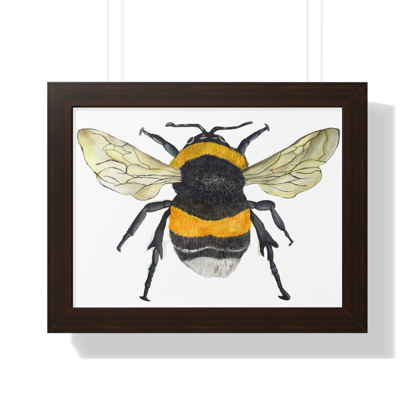 Bumblebee Wall Art — Framed Horizontal (Botanical Insect Print)