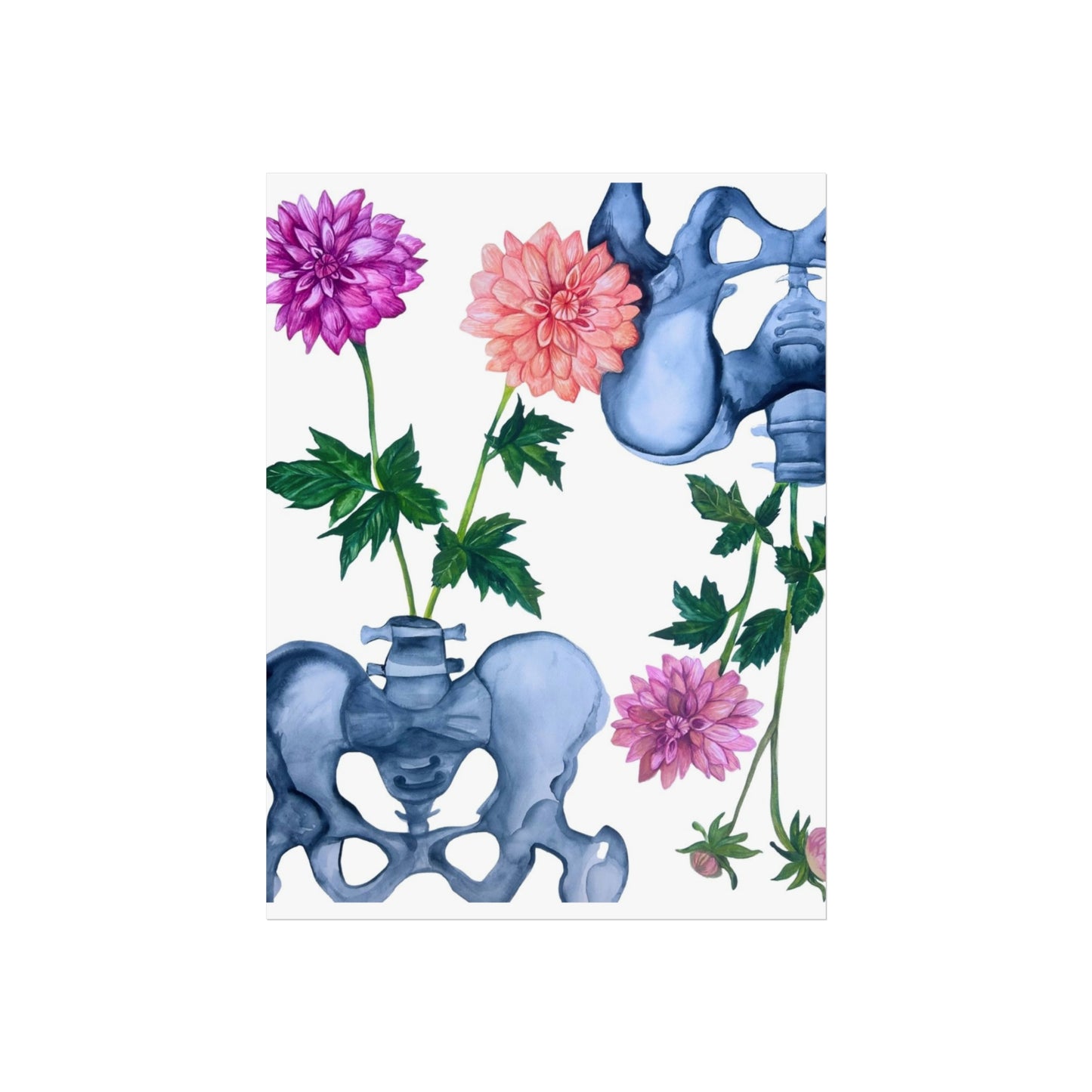 Pelvic Bone & Dahlia Giclée Art Print — Botanical Anatomical Wall Art