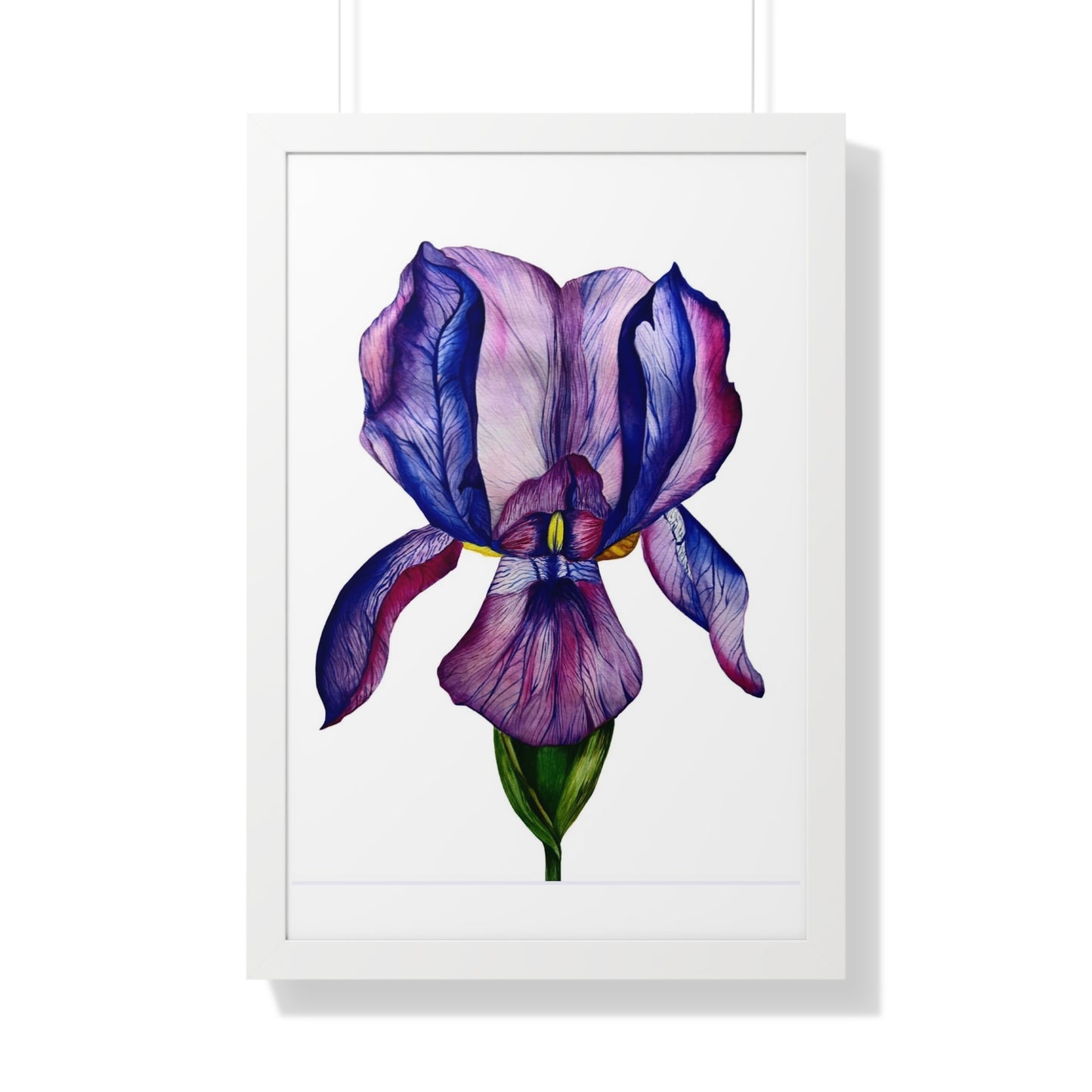 Framed — Purple Iris Botanical Art Print