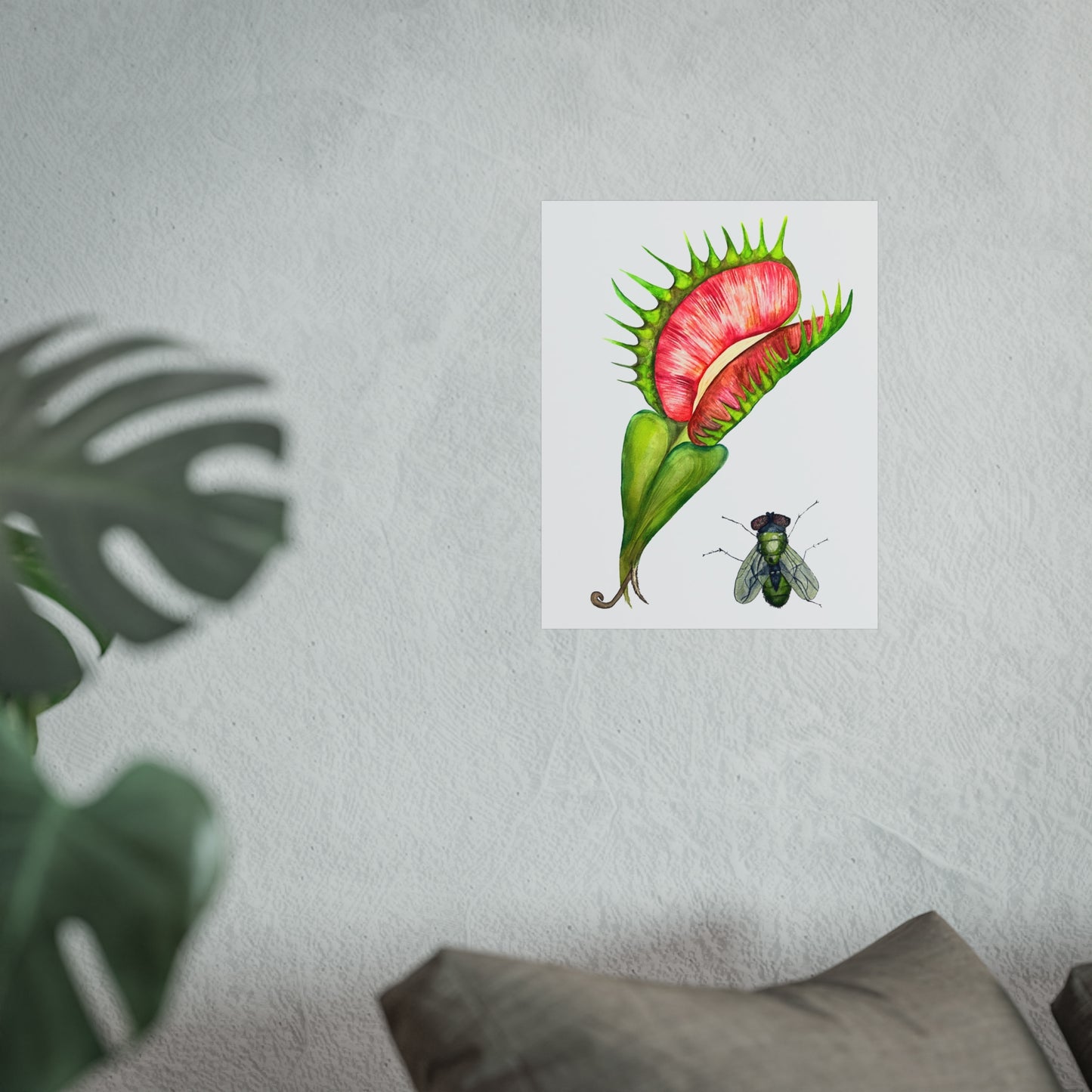 Carnivorous Plant & Fly Giclée Art Print — Venus Flytrap Botanical Illustration