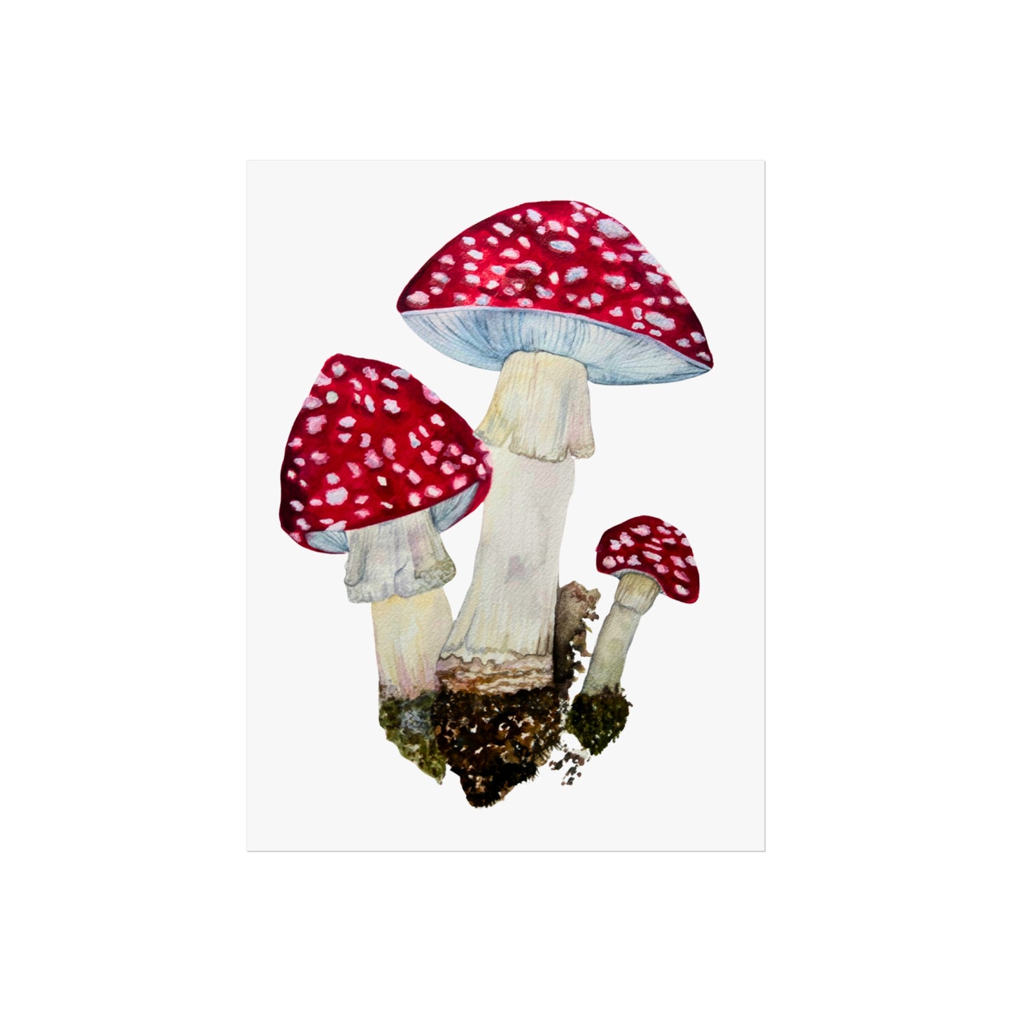 Red Fly Agaric Toadstoll Mushroom Giclée Art Print — Botanical Watercolor Wall Art