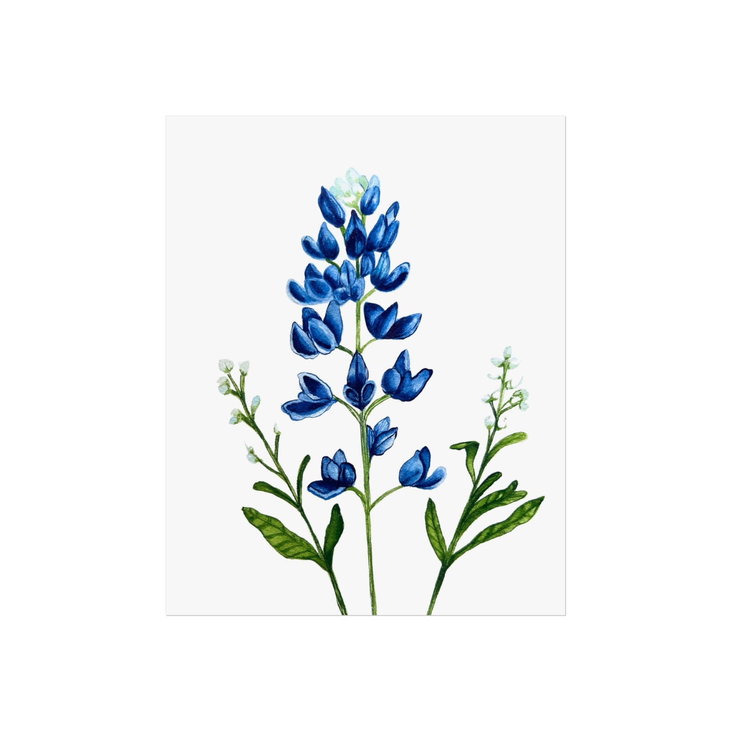 Bluebonnet Giclée Art Print — Botanical Wildflower Wall Art