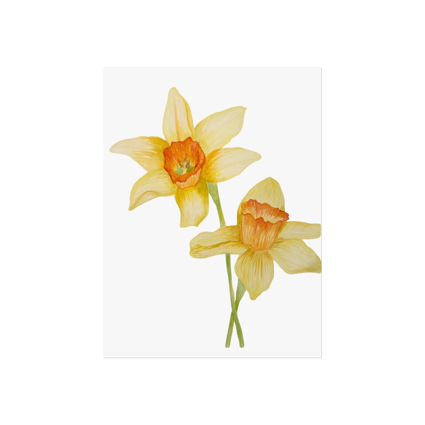 Daffodil Watercolor Giclée Art Print — Yellow Spring Floral Wall Art