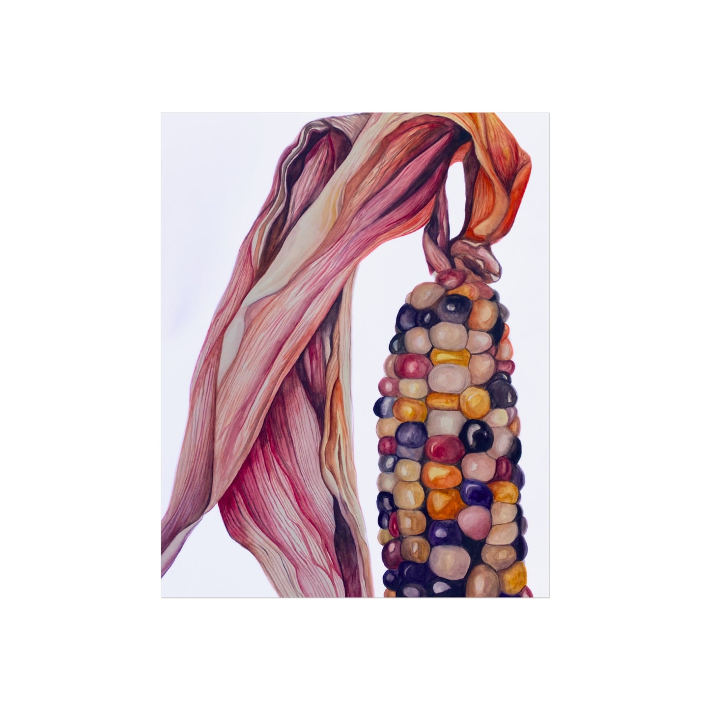 Indian Corn Giclée Art Print — Colorful Autumn Maize Wall Art