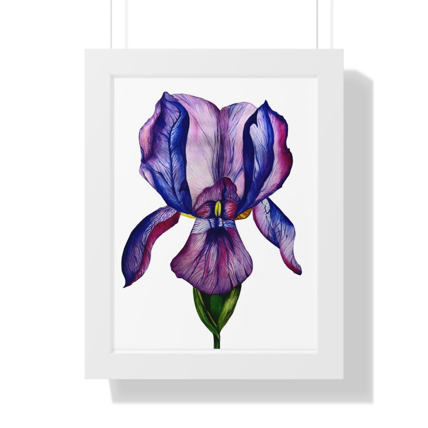 Framed — Purple Iris Botanical Art Print