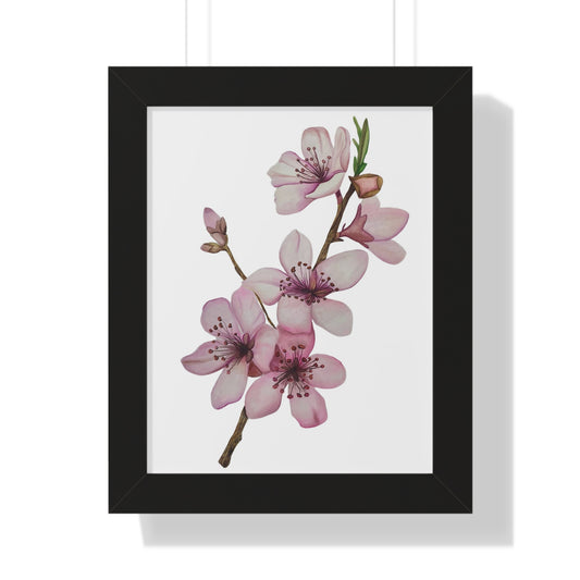Framed Cherry Blossom Print — Pink Floral Wall Art Print