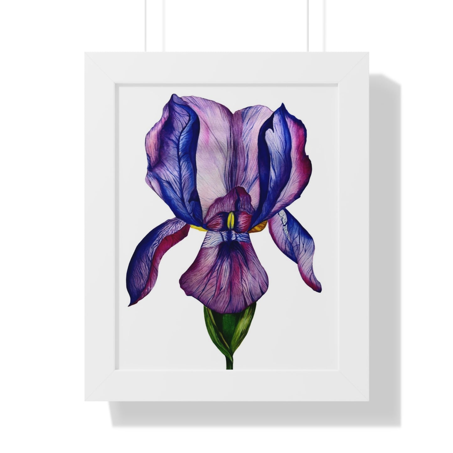 Framed — Purple Iris Botanical Art Print