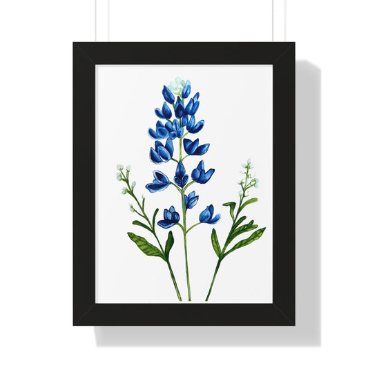 Framed Print — Bluebonnet Texas Watercolor Botanical Print