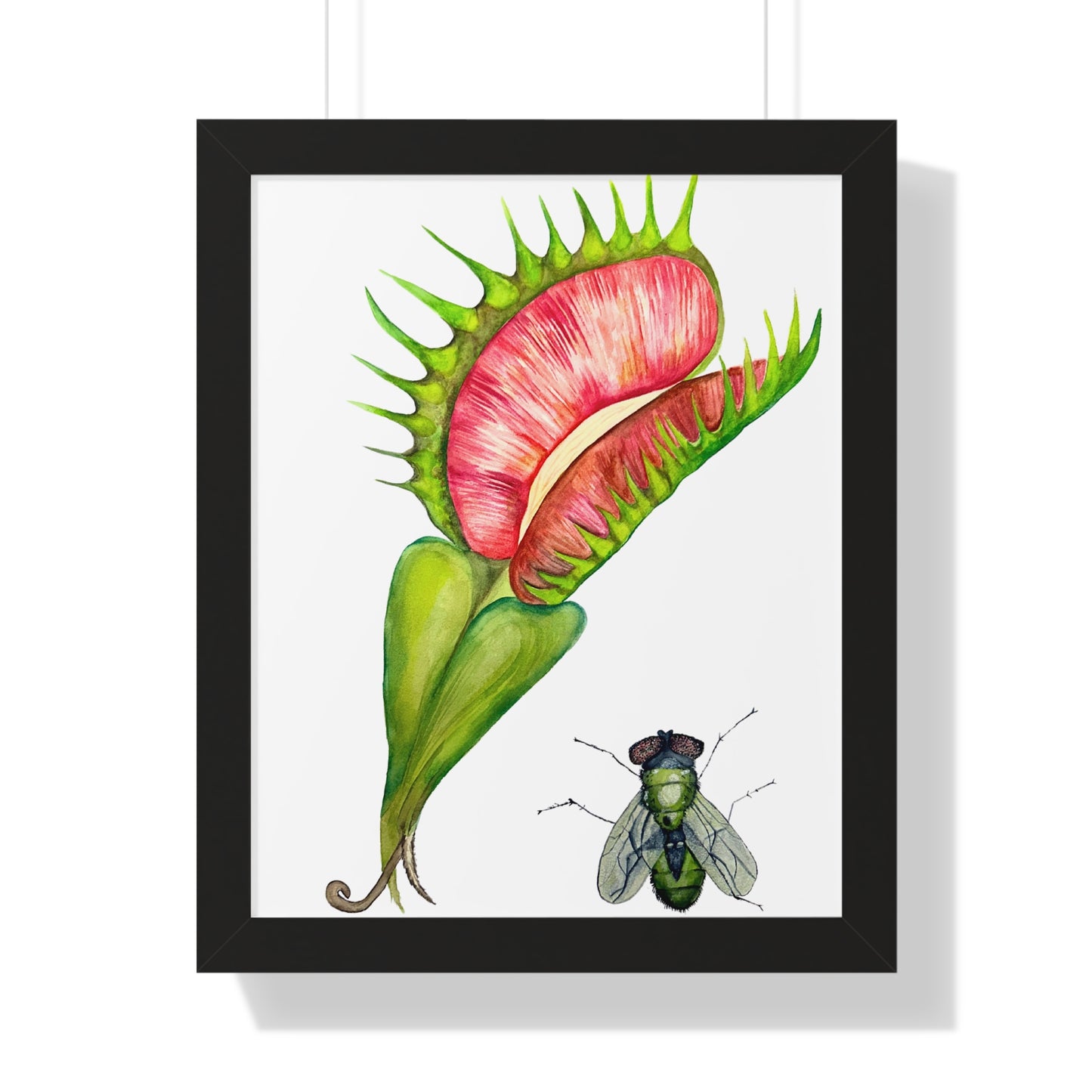 Carnivorous Plant Art Print — Venus Flytrap & Fly Framed