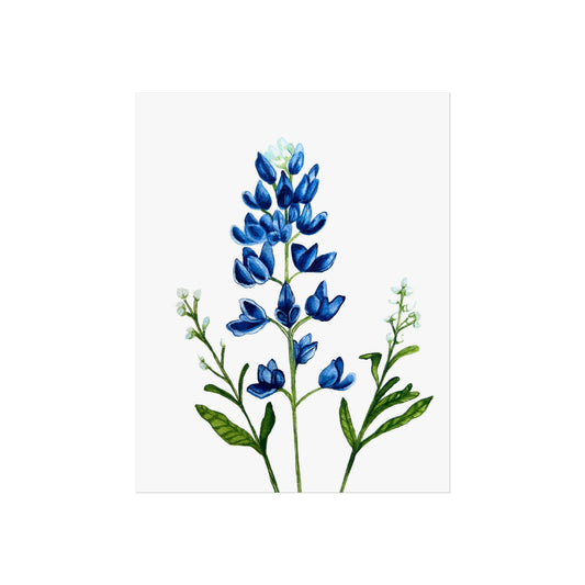 Bluebonnet Giclée Art Print — Botanical Wildflower Wall Art
