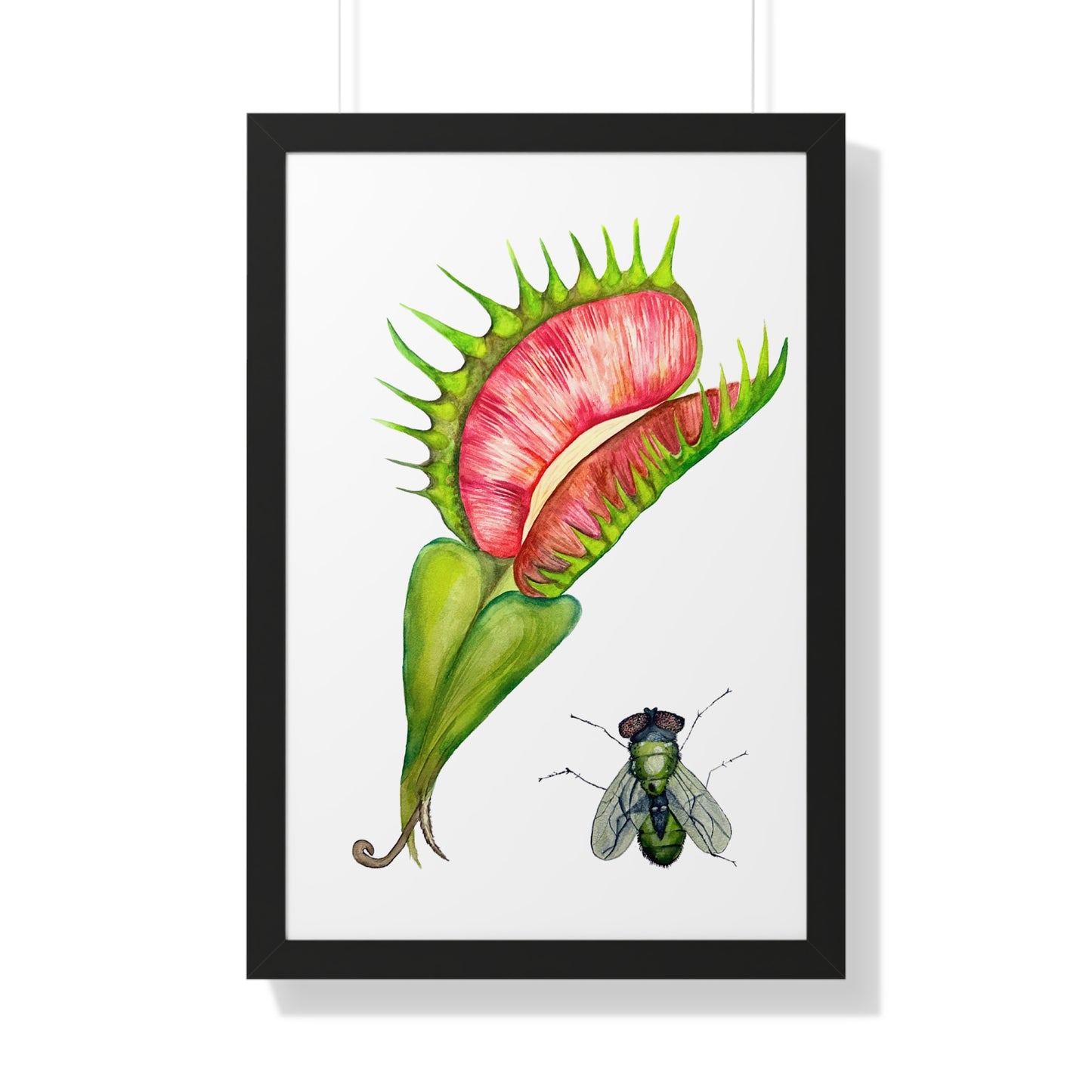 Carnivorous Plant Art Print — Venus Flytrap & Fly Framed