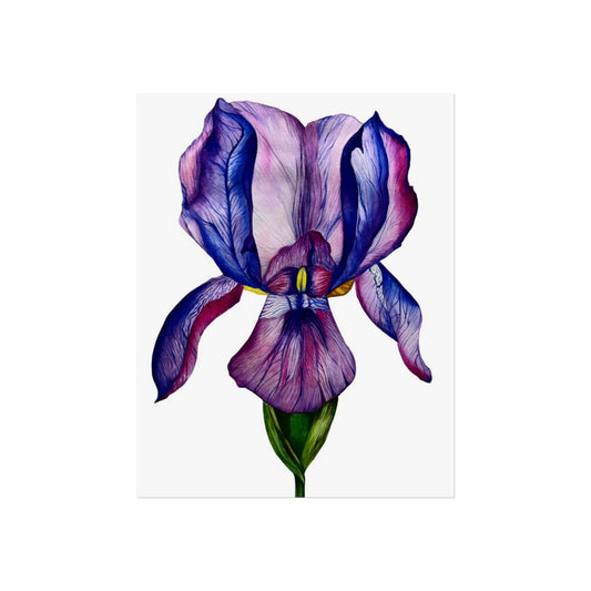 Iris Giclée Art Print — Purple Watercolor Botanical Wall Art
