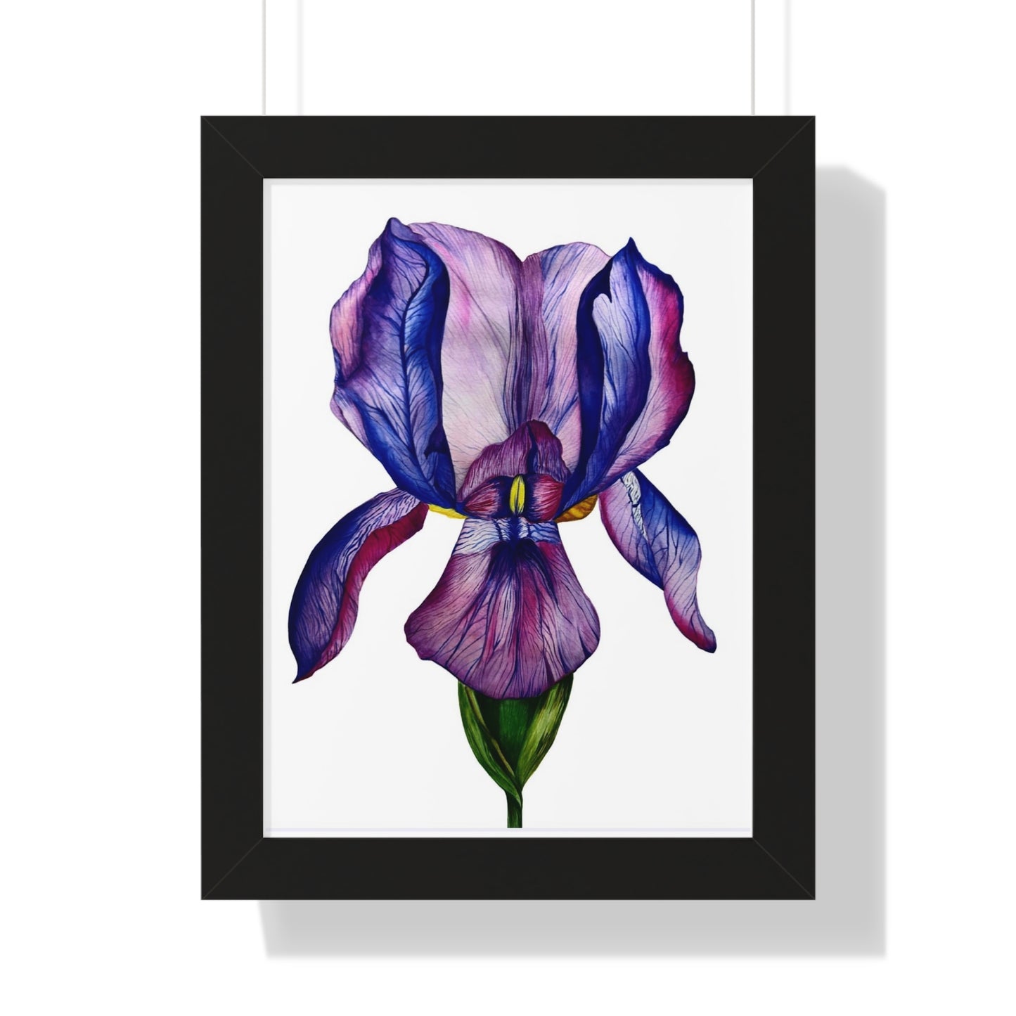 Framed — Purple Iris Botanical Art Print