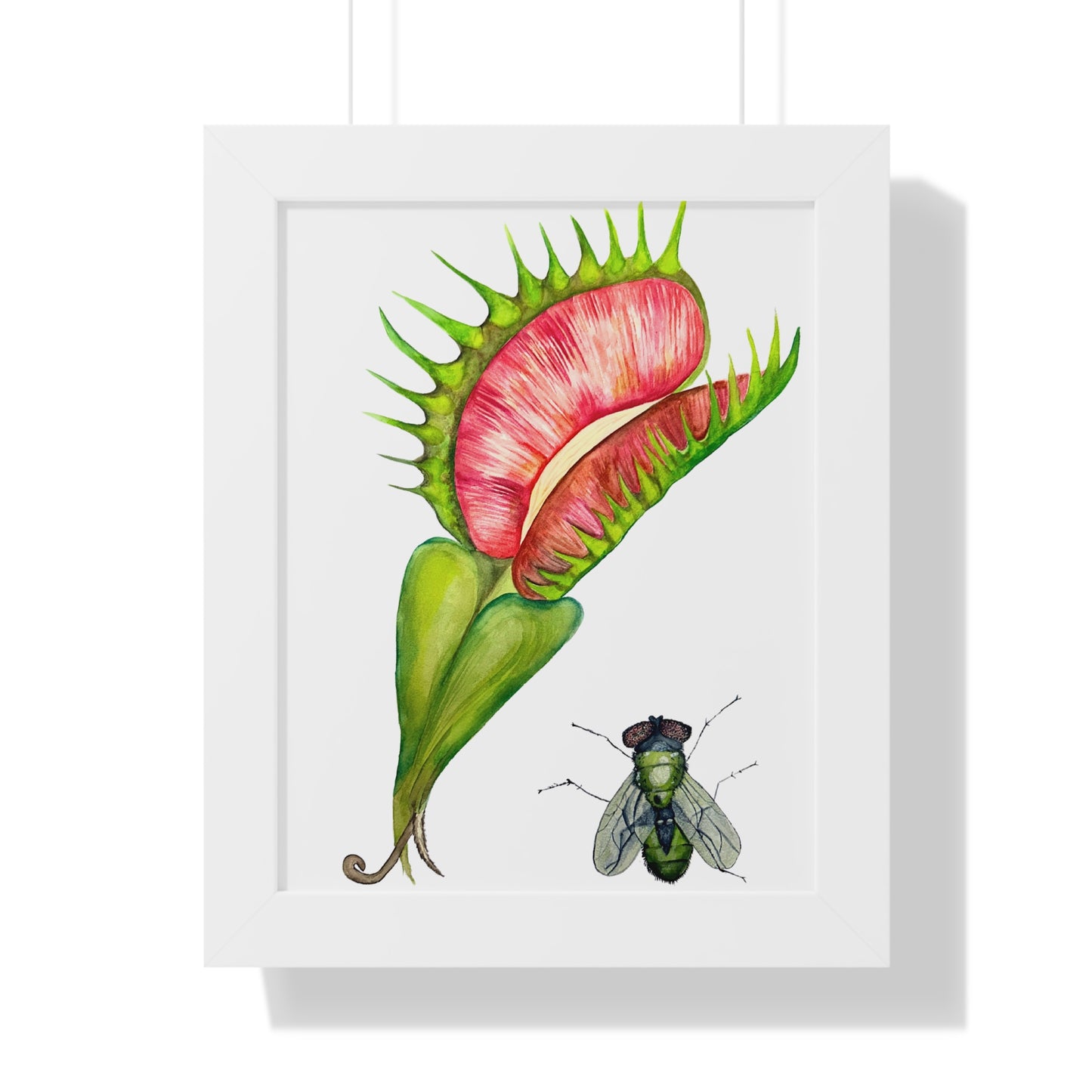 Carnivorous Plant Art Print — Venus Flytrap & Fly Framed