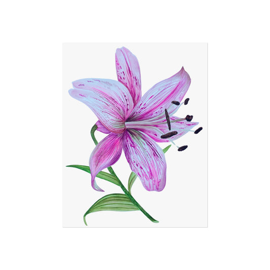 Pink Lily Giclée Art Print — Botanical Wall Art Poster