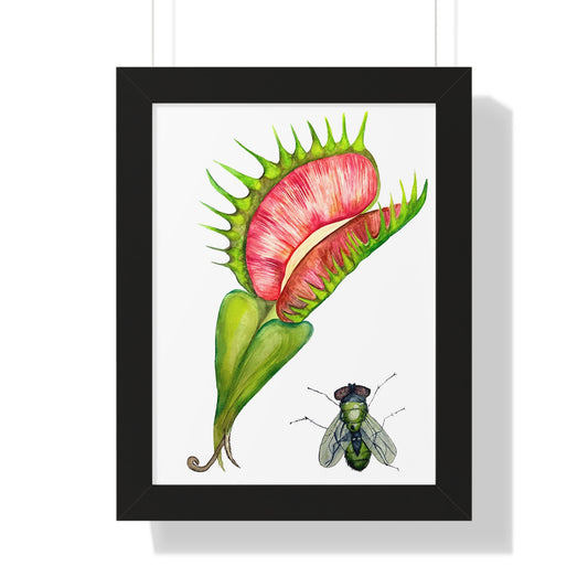 Carnivorous Plant Art Print — Venus Flytrap & Fly Framed