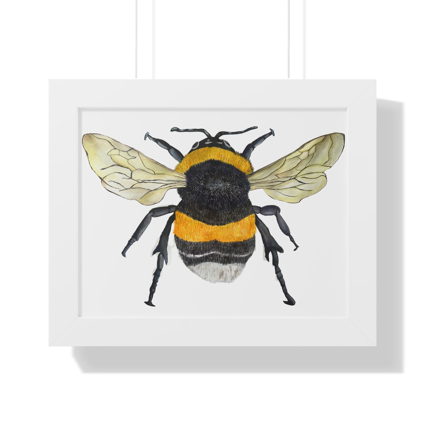 Bumblebee Wall Art — Framed Horizontal (Botanical Insect Print)