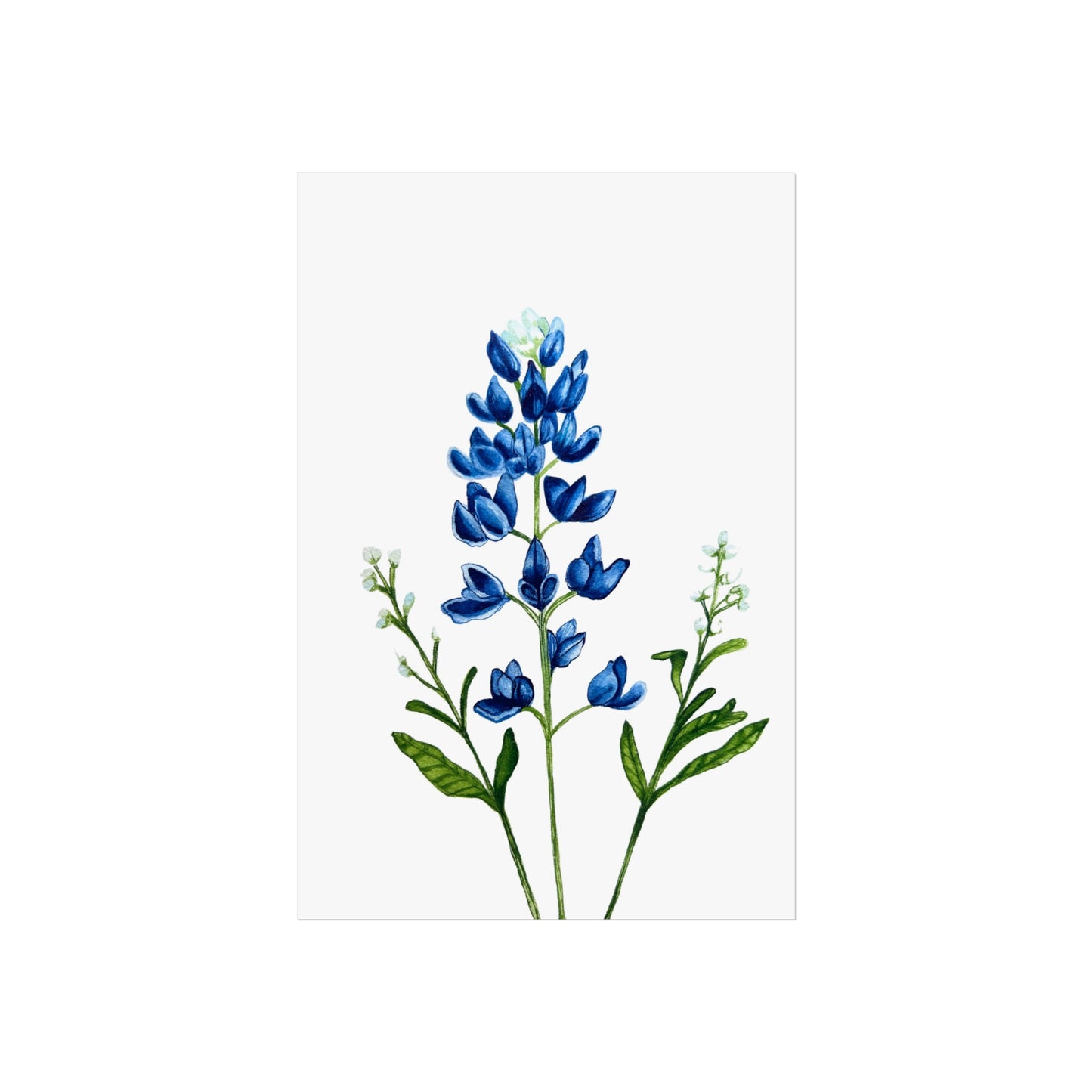 Bluebonnet Giclée Art Print — Botanical Wildflower Wall Art