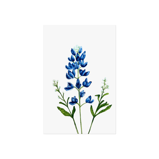 Bluebonnet Giclée Art Print — Botanical Wildflower Wall Art