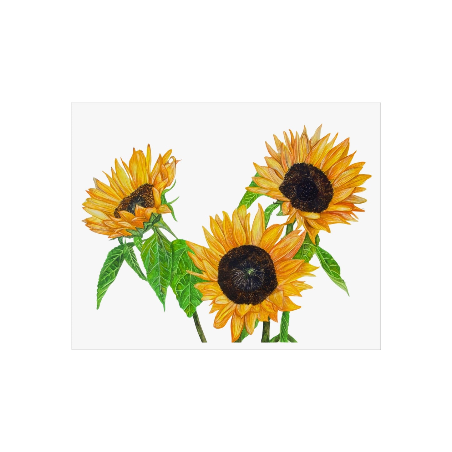 Sunflower Giclée Art Print — Bright Botanical Wall Art
