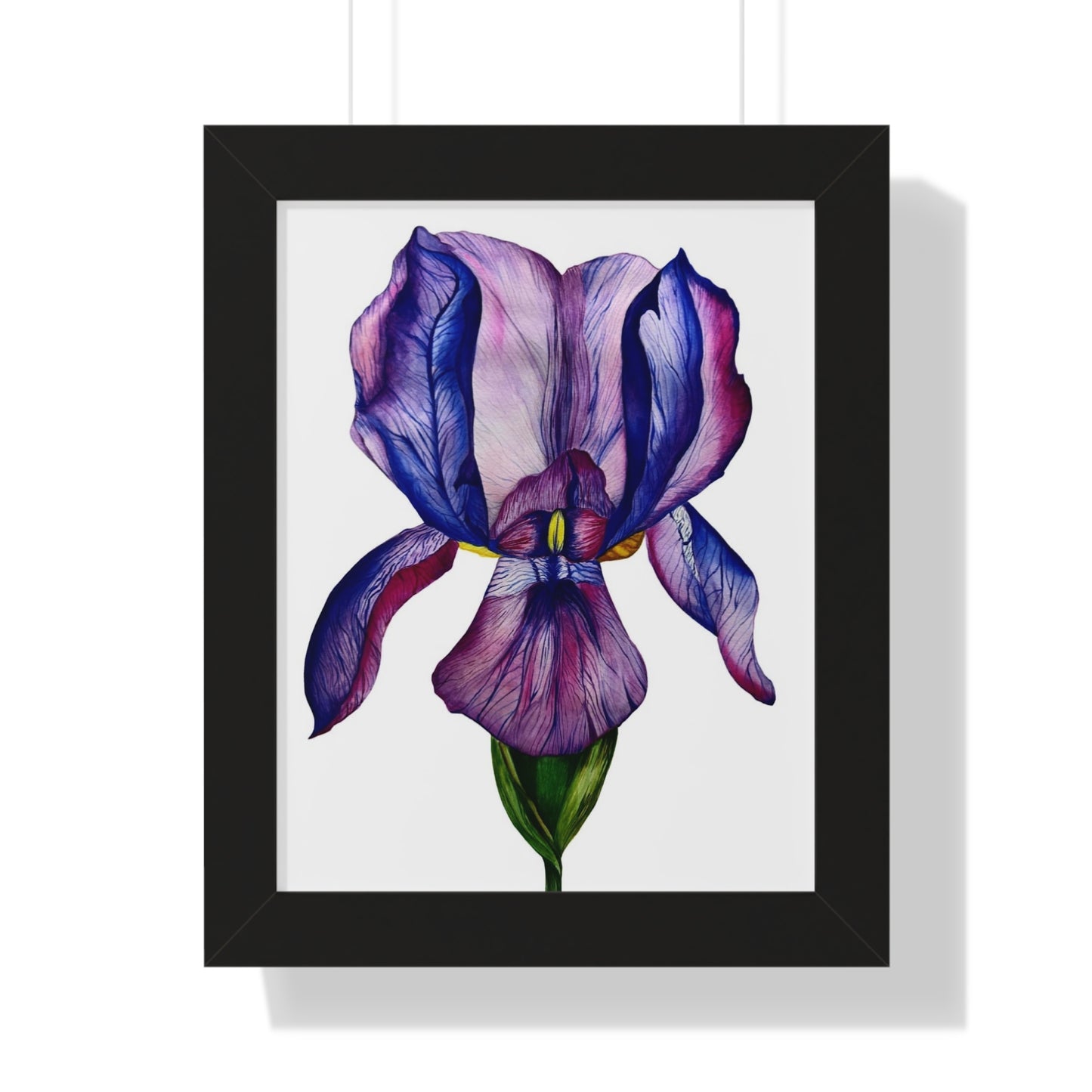 Framed — Purple Iris Botanical Art Print