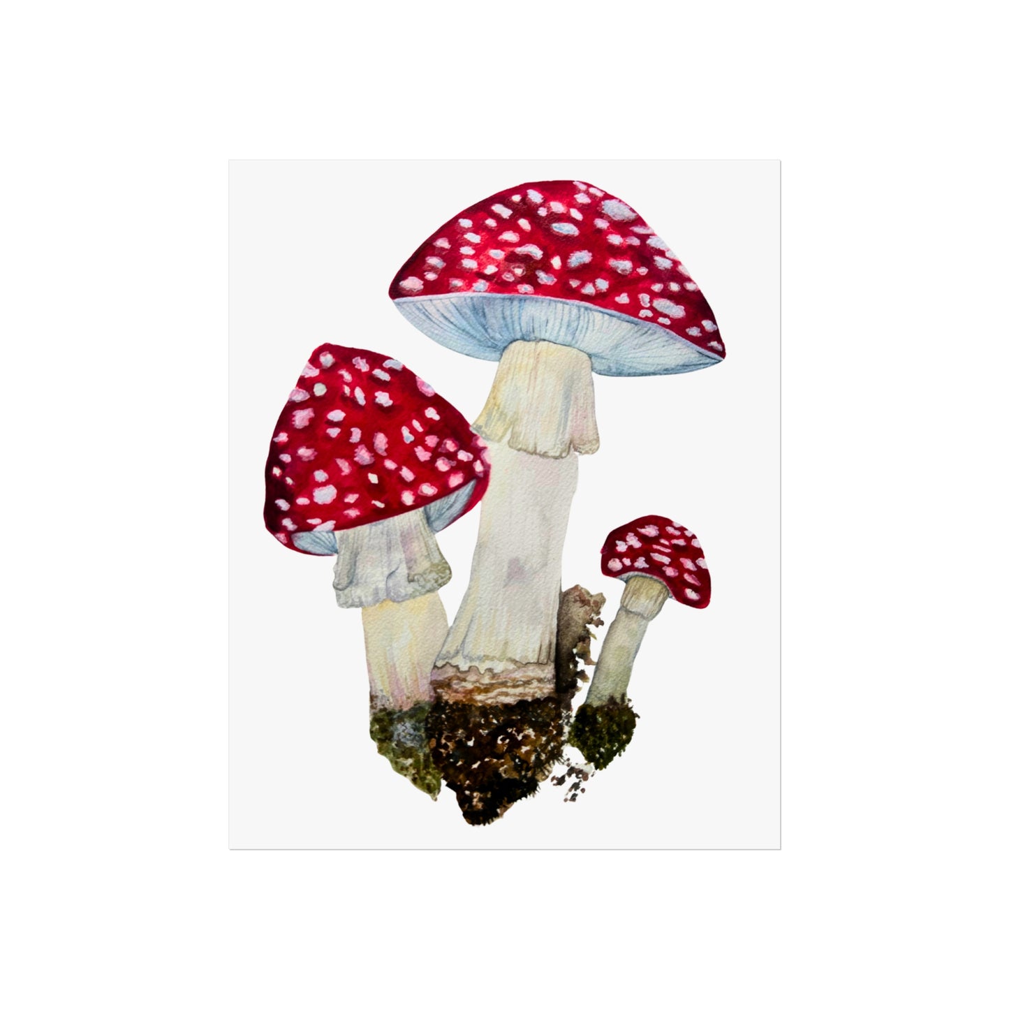 Red Fly Agaric Toadstoll Mushroom Giclée Art Print — Botanical Watercolor Wall Art