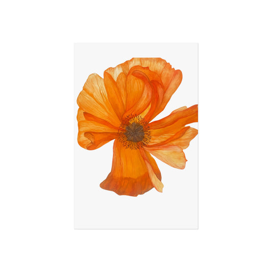 Giclée Art Print — Orange Poppy Floral Wall Art