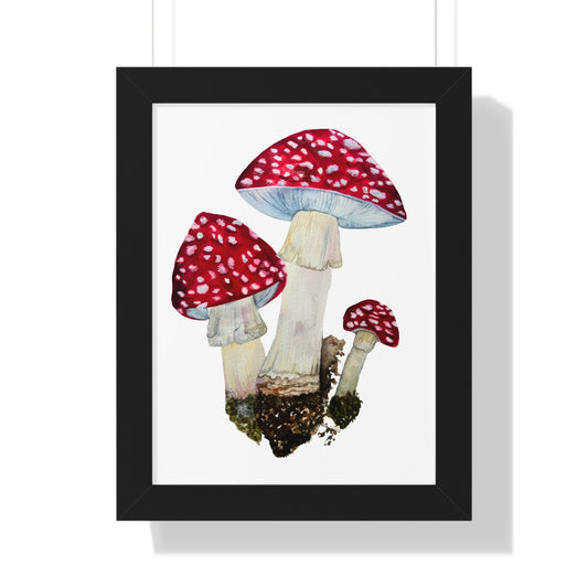 Framed Mushroom — Red Amanita Toadstool Fine Art Print