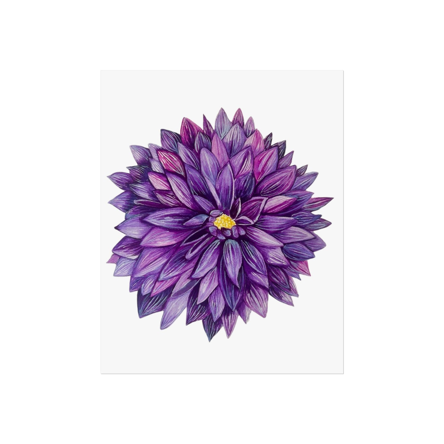 Purple Dahlia Giclée Art Print — Botanical Floral Wall Art