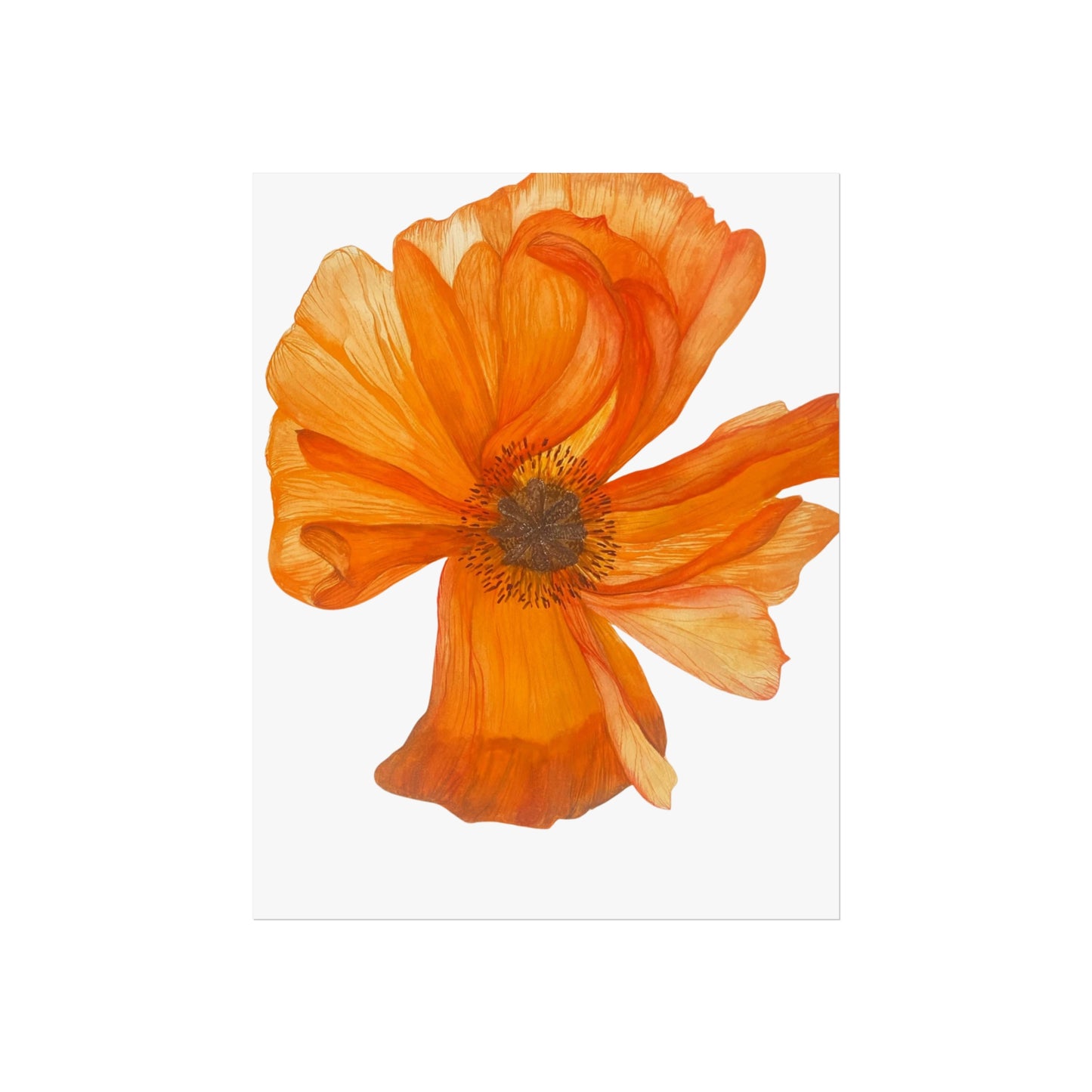 Giclée Art Print — Orange Poppy Floral Wall Art